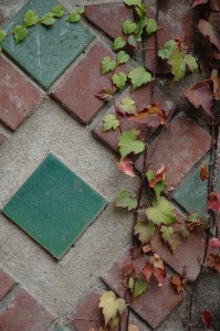 tile and ivy