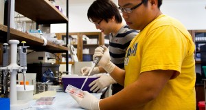 Students Get Cracking on Walnut Research