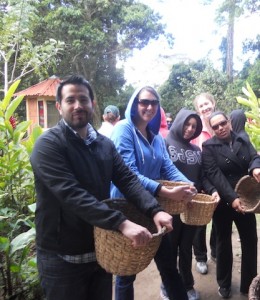 Students with baskets prepare to pick coffee beans
