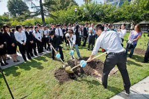 SJSU Hosts Cherry Tree Planting Ceremony and Forum