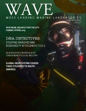 Keeping Up With Marine Science Students With WAVE Magazine