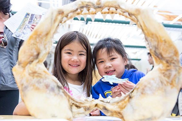 Children looked at skeletons of marine animals at the Moss Landing Marine Lab Open House.