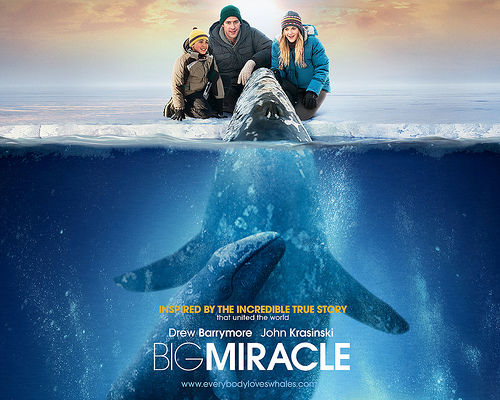 movie poster showing whale reaching out of ice to touch people