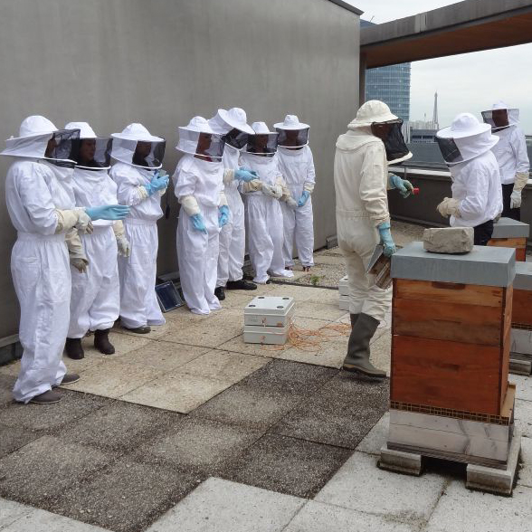 Students in bee keeping outfits in Paris