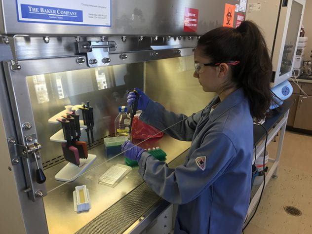 Cassandra Villicana has been involved in interdisciplinary research in a biochemistry lab at SJSU as well as other research projects.