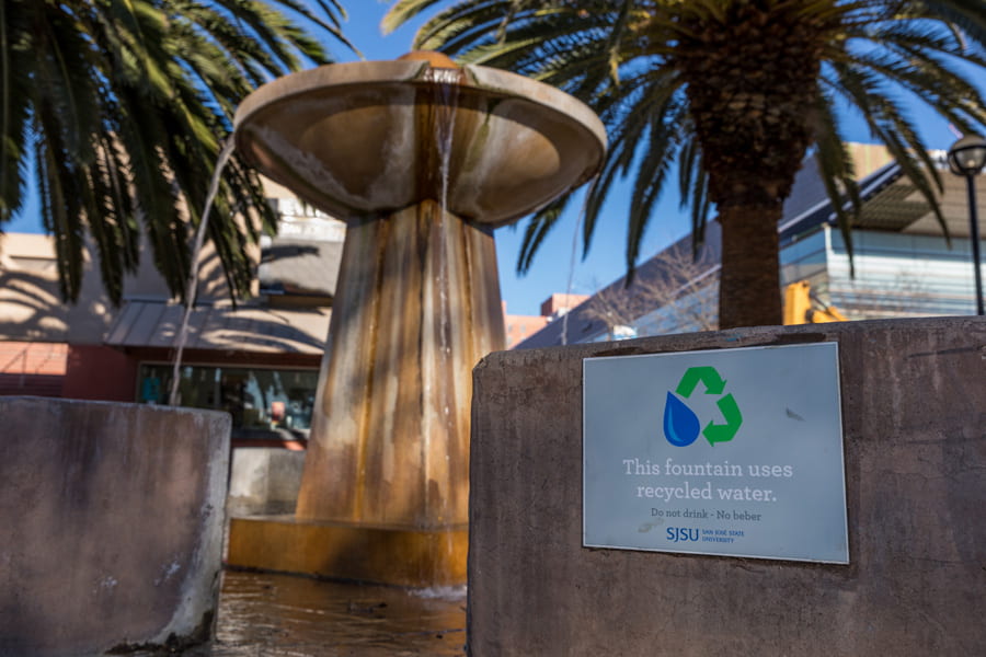 Setting the Sustainability Standard: SJSU Makes Princeton Review’s Green Colleges List