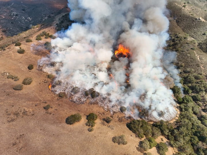 SJSU Wildfire Scientists Trailblaze Unprecedented Canyon Fire Research