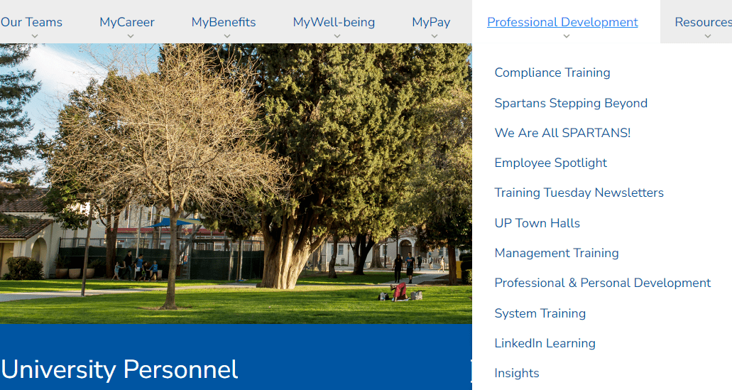 image of professional development menu contents on the university personnel website